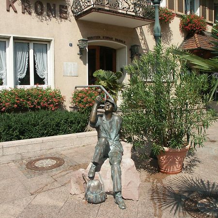 Hotel Krone Нойенбург-ам-Райн Экстерьер фото